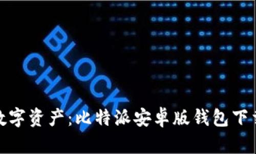 轻松掌握数字资产:比特派安卓版钱包下载安装攻略