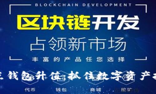 以太坊全节点钱包升值:抓住数字资产投资的新机遇