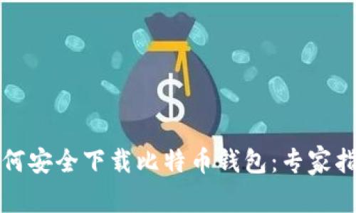 如何安全下载比特币钱包:专家指南