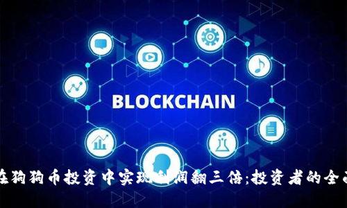 如何在狗狗币投资中实现利润翻三倍:投资者的全面指南