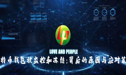 比特币钱包被监控和冻结:背后的原因与应对策略