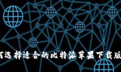 如何选择适合的比特派苹