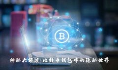 神秘大额度：比特币钱包