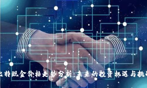 比特现金价格走势分析:未来的投资机遇与挑战