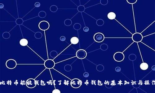 比特币能放钱包吗?了解比特币钱包的基本知识与操作