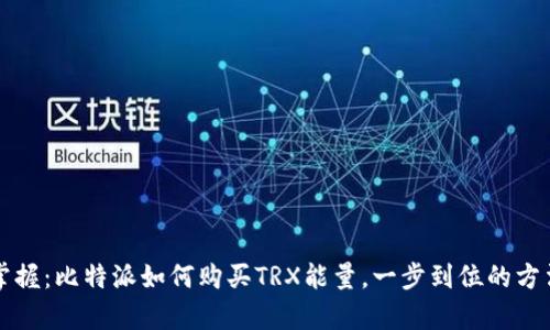 轻松掌握:比特派如何购买TRX能量,一步到位的方法解析