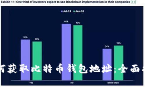 如何获取比特币钱包地址:全面指南