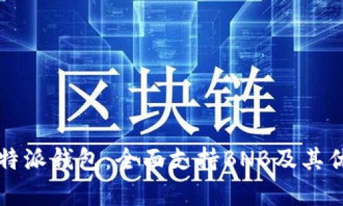 解密比特派钱包:全面支持BNB及其优势分析