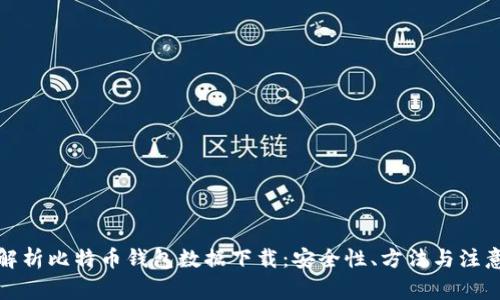 全面解析比特币钱包数据下载:安全性、方法与注意事项