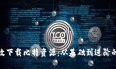 如何高效下载比特资源：