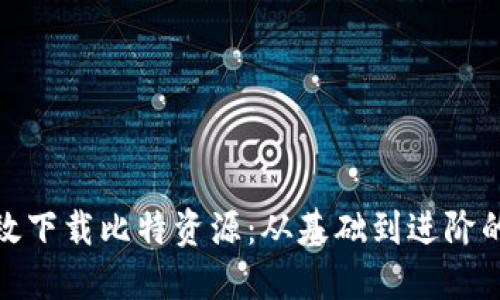 如何高效下载比特资源:从基础到进阶的全攻略