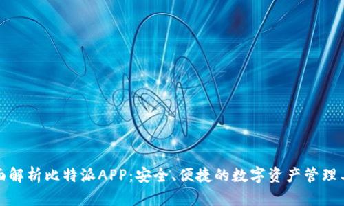 全面解析比特派APP:安全、便捷的数字资产管理工具