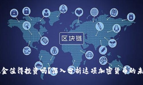 比特现金值得投资吗?深入分析这项加密货币的未来潜力