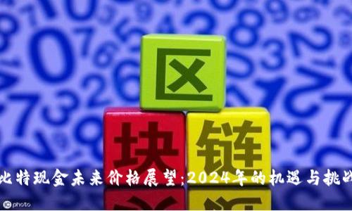 比特现金未来价格展望:2024年的机遇与挑战