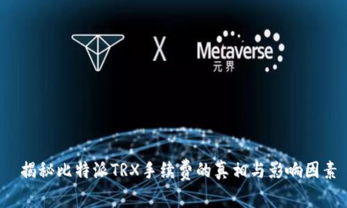 揭秘比特派TRX手续费的真相与影响因素
