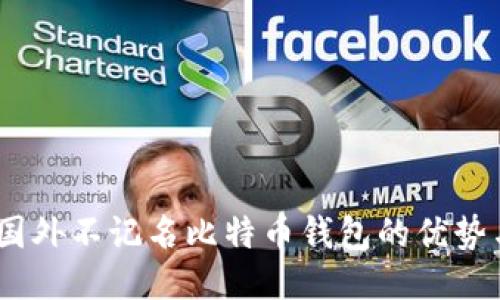 深度探讨:国外不记名比特币钱包的优势与使用风险