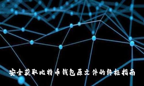 安全获取比特币钱包原文件的终极指南