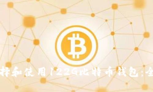 如何选择和使用122G比特币钱包：全面指南