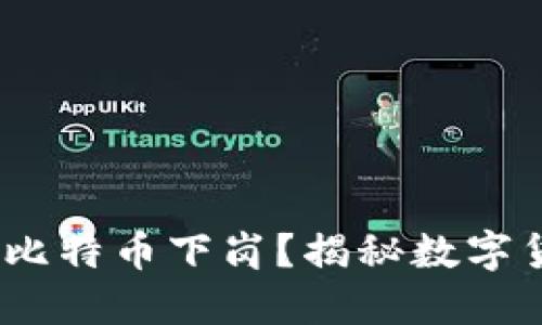 派币登场,比特币下岗?揭秘数字货币的未来