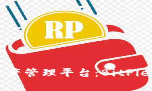 快速安全的数字资产管理平台:BitPie下载官网版全解析