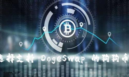如何选择支持 DogeSwap 的狗狗币钱包?