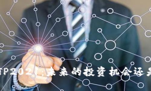 比特支付BTP2021:未来的投资机会还是风险重重?