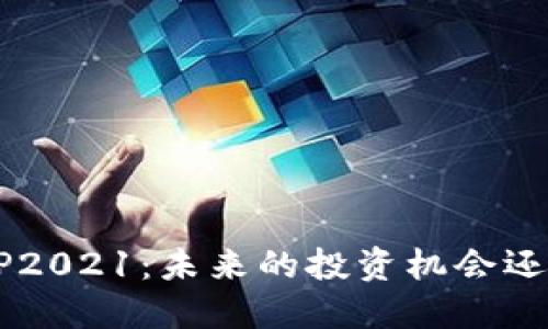 比特支付BTP2021:未来的投资机会还是风险重重?