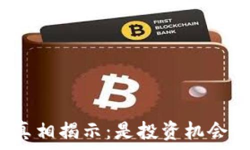 狗狗币钱包的真相揭示:是投资机会还是传销陷阱?