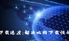 提升下载速度：解决比特