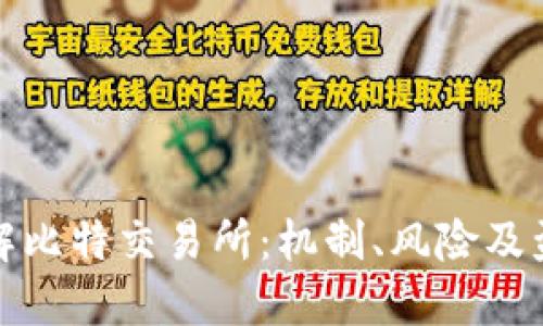 深入了解比特交易所：机制、风险及盈利策略
