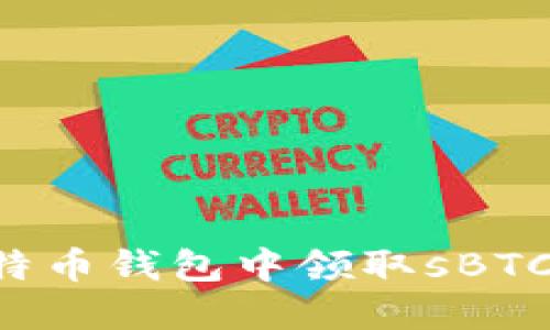 如何在比特币钱包中领取sBTC:完整指南