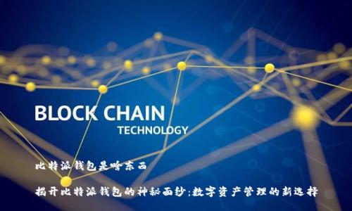 比特派钱包是啥东西
揭开比特派钱包的神秘面纱:数字资产管理的新选择