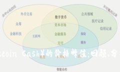 比特现金（Bitcoin Cash）的
