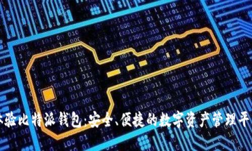 体验比特派钱包:安全、便捷的数字资产管理平台
