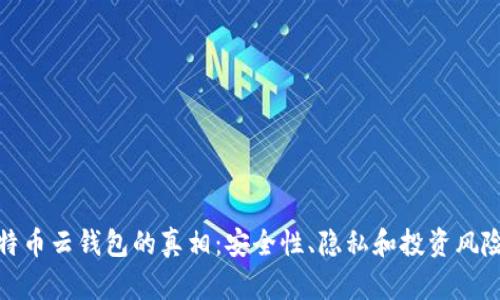 揭开比特币云钱包的真相:安全性、隐私和投资风险大揭秘