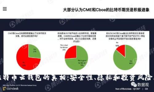 揭开比特币云钱包的真相:安全性、隐私和投资风险大揭秘