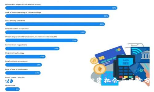 比特币与数字货币的未来：投资机会与风险分析