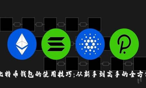 掌握比特币钱包的使用技巧:从新手到高手的全方位指南