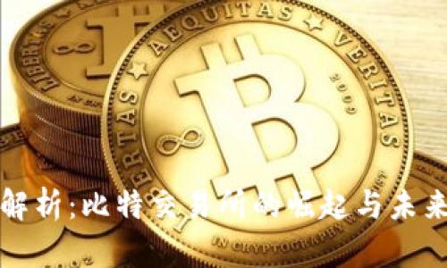 全面解析:比特交易所的崛起与未来发展