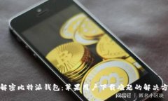 : 解密比特派钱包：苹果用