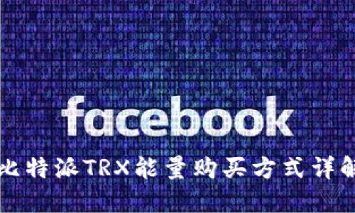 比特派TRX能量购买方式详解