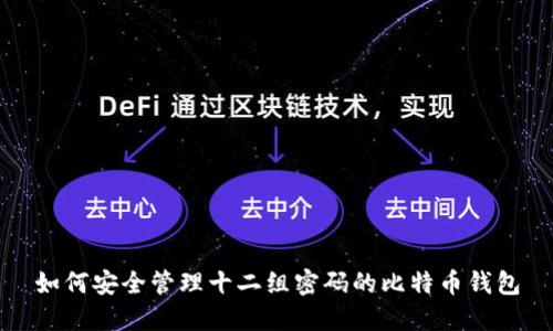 如何安全管理十二组密码的比特币钱包