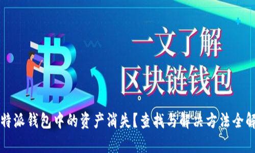 比特派钱包中的资产消失?查找与解决方法全解析