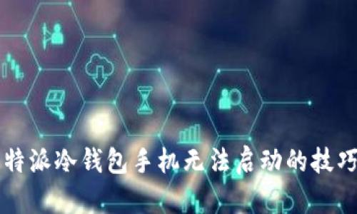 解决比特派冷钱包手机无法启动的技巧与指南