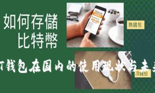 USDT钱包在国内的使用现状与未来展望