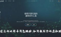 被遗忘的比特币钱包地址