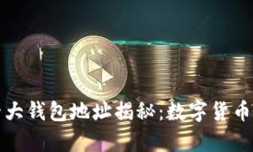 比特币前十大钱包地址揭秘:数字货币的财富密码