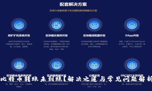 比特币转账未到账?解决之道与常见问题解析