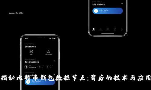 揭秘比特币钱包数据节点:背后的技术与应用