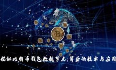 揭秘比特币钱包数据节点